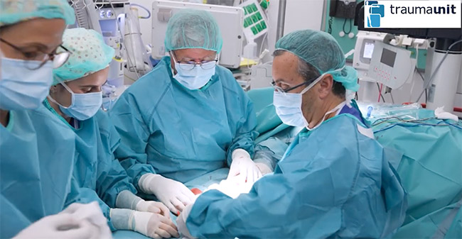 nervio periferico y transferencias nerviosas