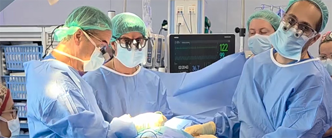 paralisis braquial obstetrica